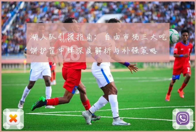 湖人队引援指南：自由市场三大吃饼护筐中锋深度解析与补强策略