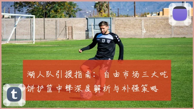 湖人队引援指南：自由市场三大吃饼护筐中锋深度解析与补强策略