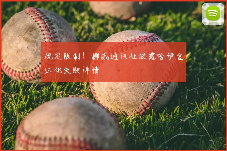 规定限制！挪威通讯社披露哈伊金归化失败详情